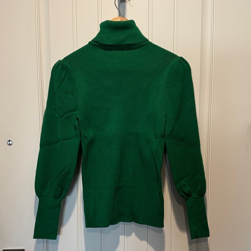 Ann Taylor Emerald Green Turtleneck Sweater